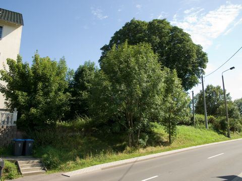 Baugrundstück, Eisenach, Langensalzaer Straße 62